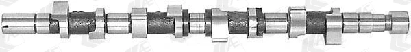CAM664 AE