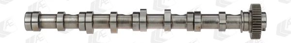 CAM961 AE