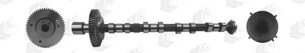 Árvore distribuidora de motor de admissão CAM973 AE