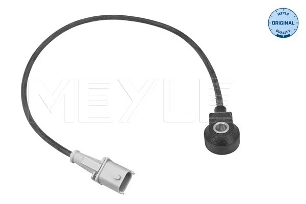 Sensor de detonação para Alfa Romeo 147 (937)