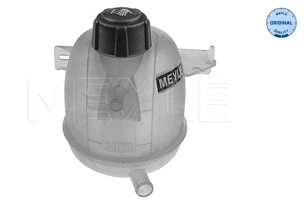 Tanque de expansão do sistema de esfriamento para Dacia Sandero (BS0, 1)
