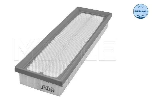 Filtro de ar para Renault Master (FD)