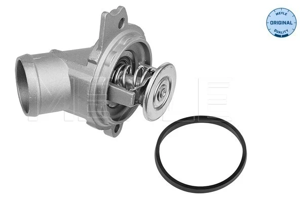 Termostato на Mercedes S (W220)