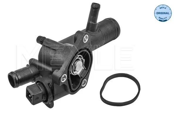 Caixa do termostato para Renault Kangoo (FC0)