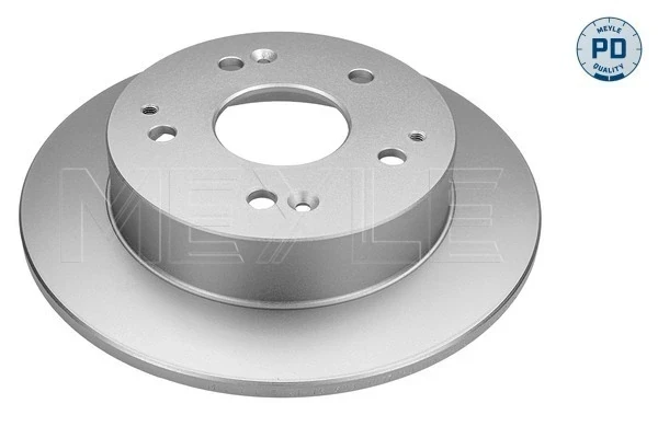 Disco do freio traseiro para Renault 21 (L48)