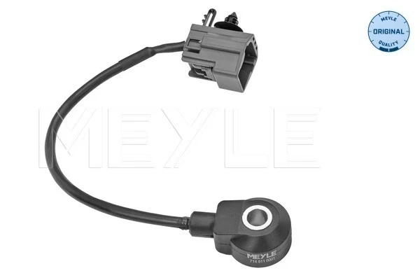 Sensor de detonação para Ford Focus (CB8)