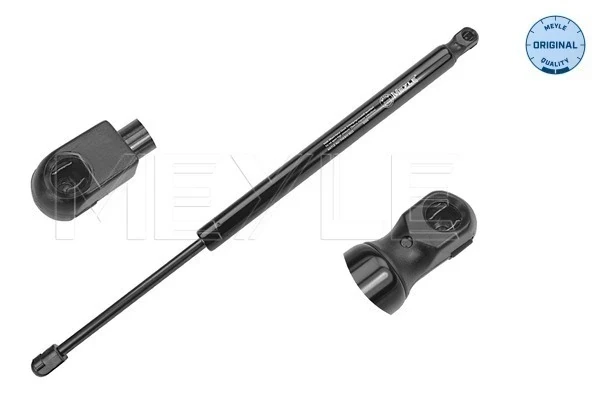 Amortecedor de tampa de porta-malas (de 3ª/5ª porta traseira) para Ford Focus (DAW, DBW)