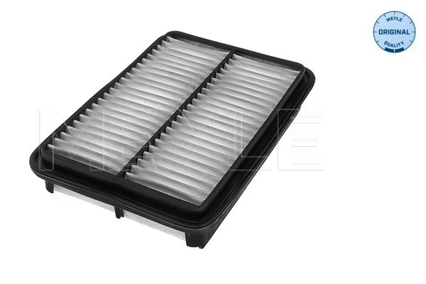 Filtro de ar para Hyundai Santa Fe (SM)