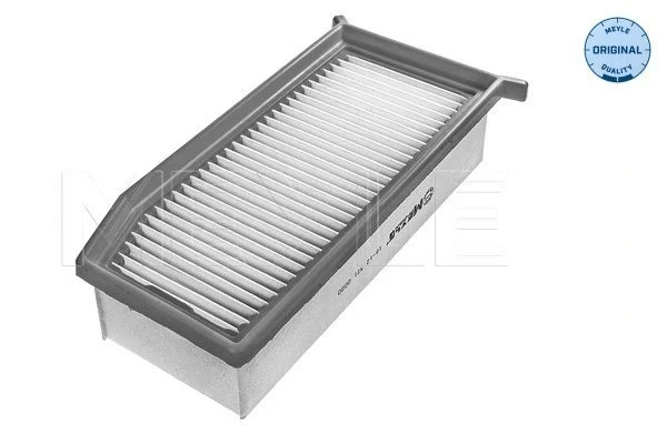 Filtro de ar para Dacia Sandero (BS0, 1)