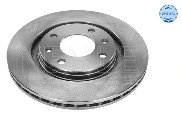 Disco do freio dianteiro para Peugeot 405 (4E)