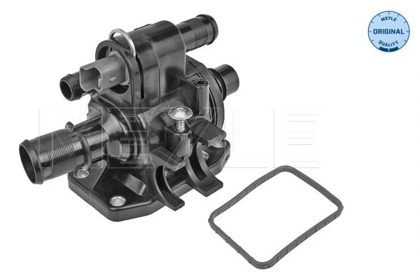 Termostato para Citroen C2 (JM)