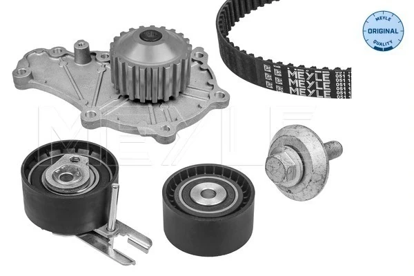 Correia do mecanismo de distribuição de gás, kit para Citroen Xsara (N2)