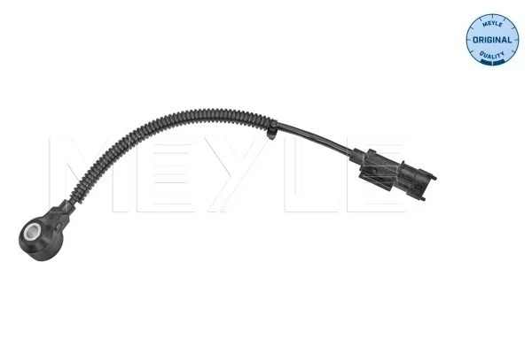 Sensor de detonação para KIA Rio (DE)