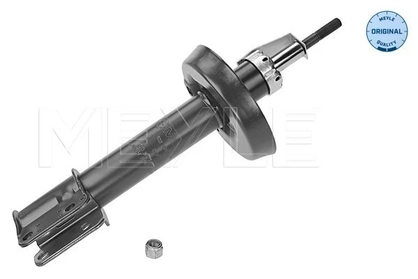 Amortecedor dianteiro para Opel Zafira (A05)