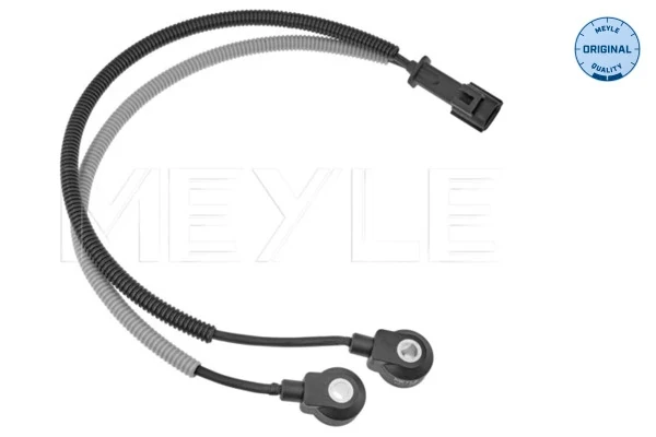 Sensor de detonação para Volvo XC70 (SZ, LZ)