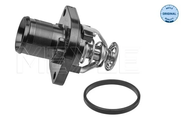 Termostato para Peugeot 406 (8E, F)