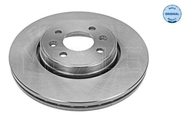 Disco do freio dianteiro para Renault Laguna (BG0)