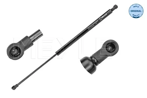 Amortecedor de tampa de porta-malas (de 3ª/5ª porta traseira) para Renault Modus (JP0)