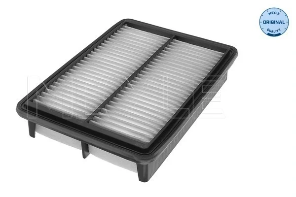 Filtro de ar para Hyundai H-1 STAREX (TQ)