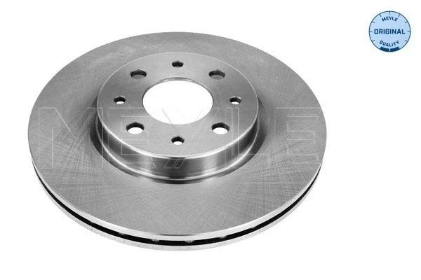 Disco do freio dianteiro para Fiat Punto (176)