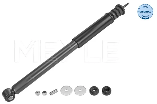 Amortecedor traseiro para Dacia Sandero (BS0, 1)