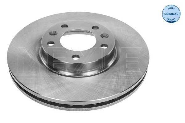 Disco do freio dianteiro para Peugeot 605 (6B)