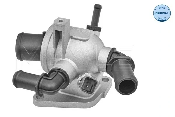 Termostato para Fiat Punto (199)