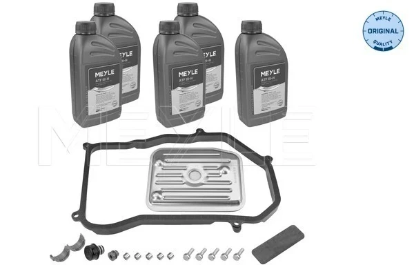 Filtro da Caixa Automática de Mudança para Ford Galaxy (WGR)