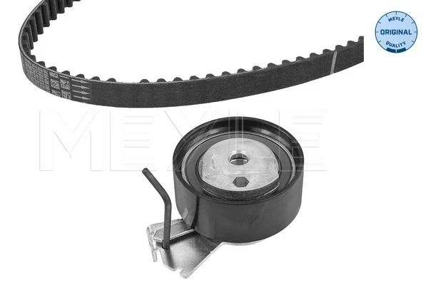 Correia do mecanismo de distribuição de gás, kit para Fiat Qubo (255)