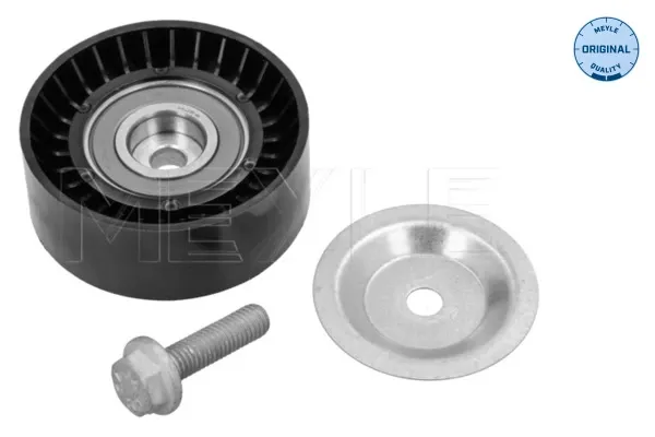 Rolo parasita da correia de transmissão Ford Focus III