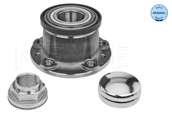 Cubo traseiro para Peugeot Boxer (250)