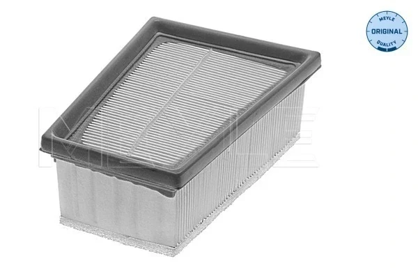 Filtro de ar para Renault Megane (EA0)