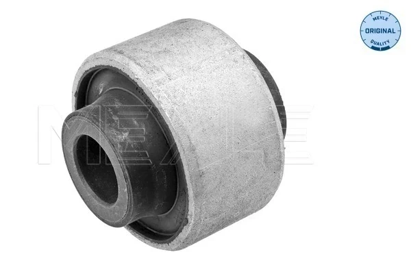 Bloco silencioso dianteiro do braço oscilante inferior para Renault Scenic (R9)