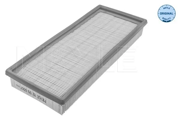 Filtro de ar para Ford Escort (ALD)
