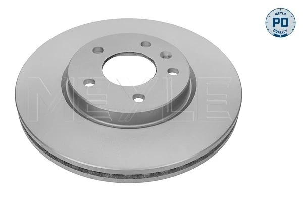 Disco do freio dianteiro para Ford Sierra (BNG)
