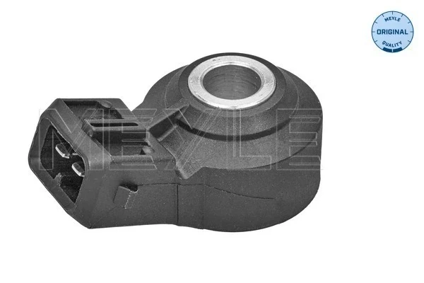 Sensor de detonação para Nissan Pathfinder (R51M)