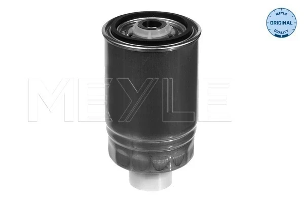 Filtro de combustível para Renault Trafic (T1, T3, T4)
