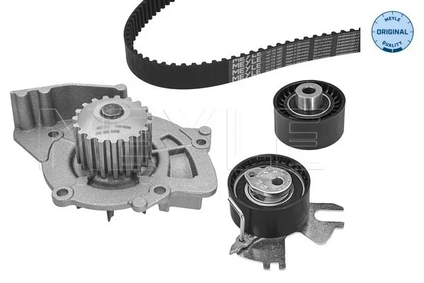Correia do mecanismo de distribuição de gás, kit para Peugeot 307 (3B)