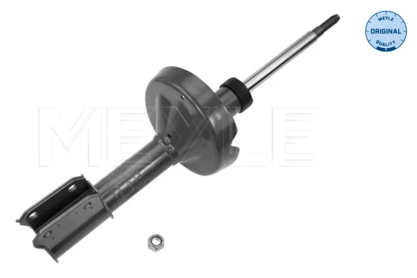 Amortecedor dianteiro para Renault Clio (LB0, LB1, LB2)