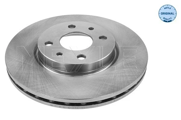 Disco do freio dianteiro para Fiat Linea (323)
