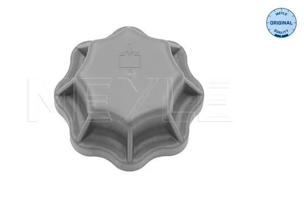 Tampa (tampão) do tanque de expansão MAN TGX I