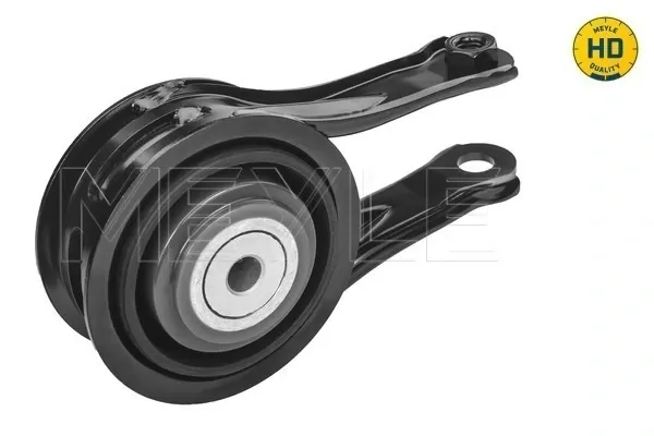 Coxim (suporte) traseiro de motor Peugeot Expert VF