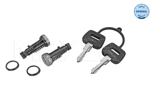 Cilindros de fecho, kit DAF 105 XF