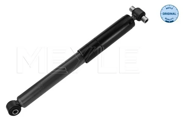 Amortecedor traseiro para Ford Focus (DNW)