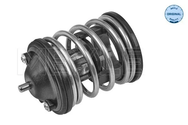 Termostato para BMW 5 (F10)