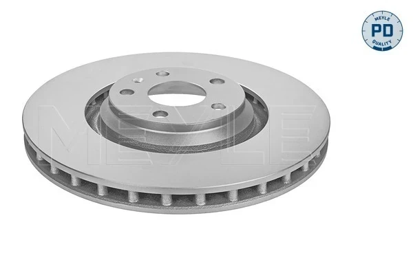 Disco do freio dianteiro para Volkswagen Passat (B7, 365)
