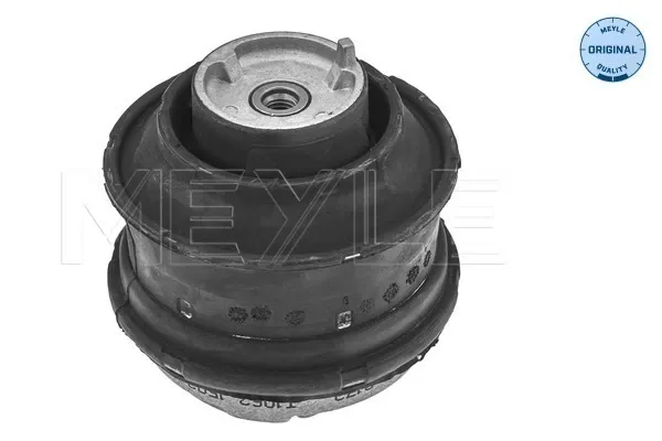 Coxim (suporte) dianteiro de motor Mercedes CLS C219