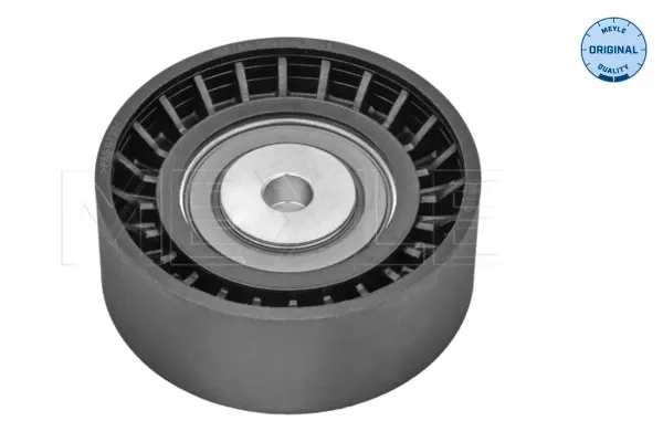 Rolo parasita da correia de transmissão Audi A4 B7
