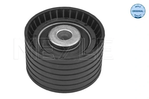 Rolo parasita da correia do mecanismo de distribuição de gás para Renault Laguna (KG0)