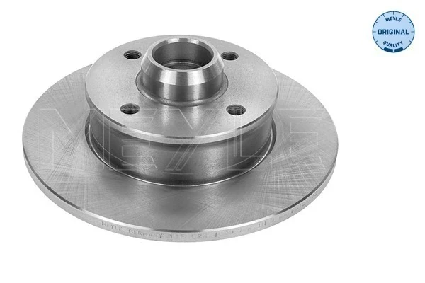 Disco do freio traseiro para Volkswagen Jetta (19E)